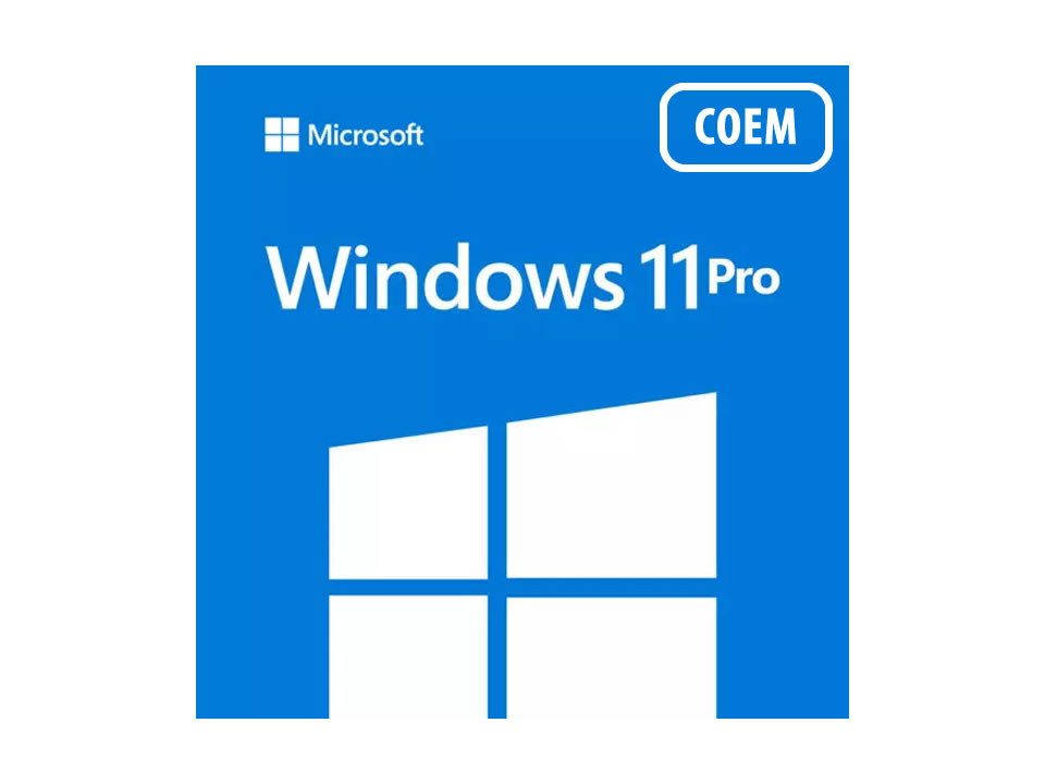 Windows 11 Professional 64 bits DVD PT-BR COEM [FQC-10520]